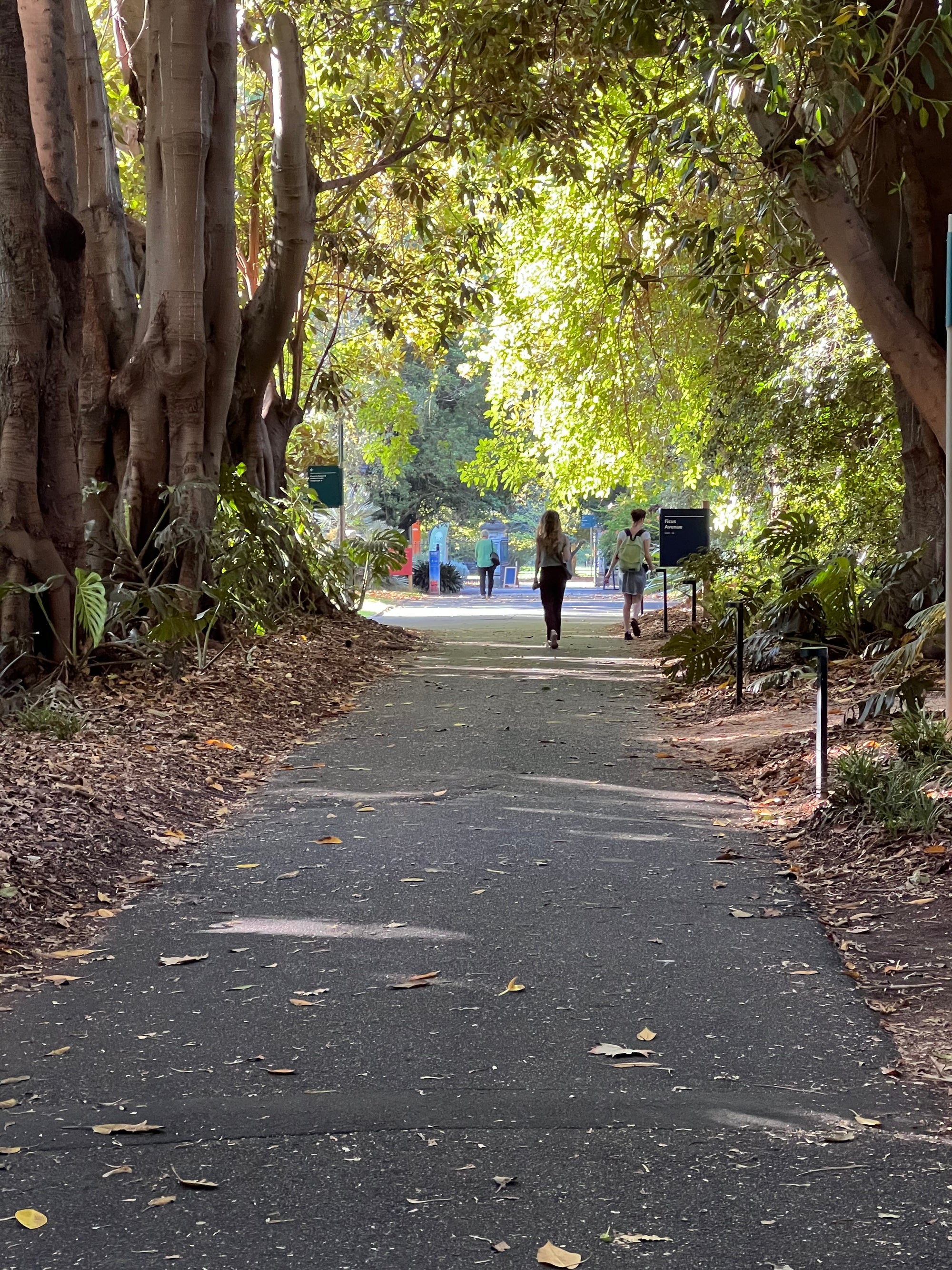 Evergreen Deli, Adelaide Botanic Gardens
